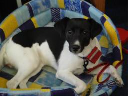 Resize of DSC02048.JPG